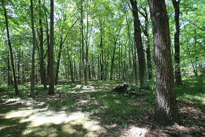 19291 Ottawa Lane, Big Rapids, MI 49307 - Photo 22
