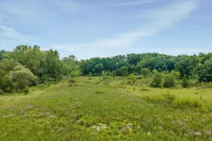 15135 W Austin Rd, Manchester, MI 48158 - Photo 74