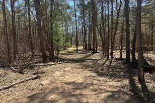 604 W Beaver Rd, Bitely, MI 49309 - Photo 90