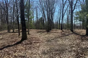 604 W Beaver Rd, Bitely, MI 49309 - Photo 96