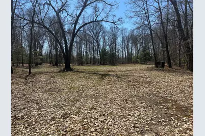 604 W Beaver Road, Bitely, MI 49309 - Photo 86