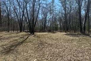 604 W Beaver Rd, Bitely, MI 49309 - Photo 84