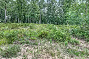 7392 N Northern Dr, Pentwater, MI 49449 - Photo 40