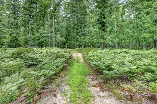 7392 N Northern Dr, Pentwater, MI 49449 - Photo 42