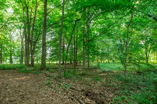 58522 Farrand Rd, Colon, MI 49040 - Photo 90