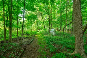58522 Farrand Rd, Colon, MI 49040 - Photo 92