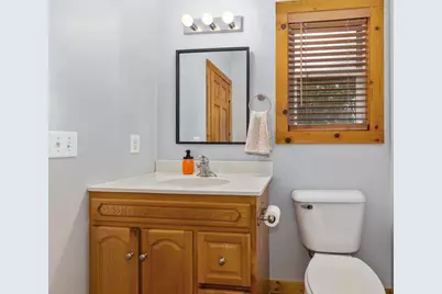 2717 S Berridge Road, Sidney, MI 48885 - Photo 22