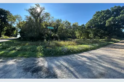 0 McKinney, Brooklyn, MI 49230 - Photo 2