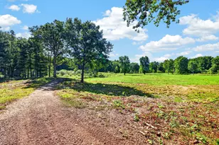 5778 E Shores Dr, Free Soil, MI 49411 - Photo 42