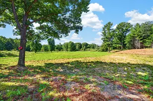 5778 E Shores Dr, Free Soil, MI 49411 - Photo 40