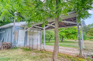 10724 Cutler St, Chippewa Lake, MI 49320 - Photo 50