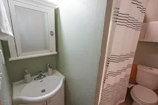 545 N Hemlock St, Evart, MI 49631 - Photo 46