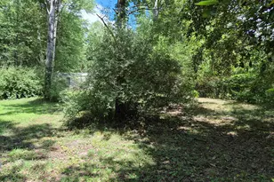 4107 E White River Dr, Hesperia, MI 49421 - Photo 4