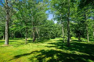 84 Thelen Dr, Gobles, MI 49055 - Photo 46