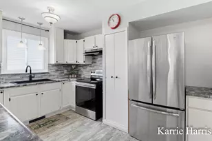 917 E Evergreen St, Greenville, MI 48838 - Photo 14