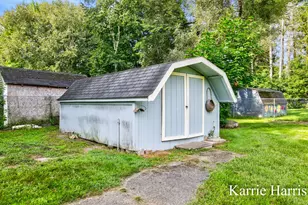 917 E Evergreen St, Greenville, MI 48838 - Photo 50