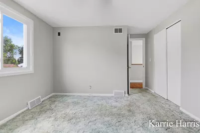 917 E Evergreen Street, Greenville, MI 48838 - Photo 28