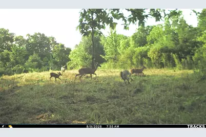 Vl S Bradley Road, Charlotte, MI 48813 - Photo 32