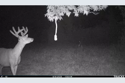 Vl S Bradley Road, Charlotte, MI 48813 - Photo 34