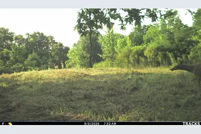 Vl S Bradley Road, Charlotte, MI 48813 - Photo 36