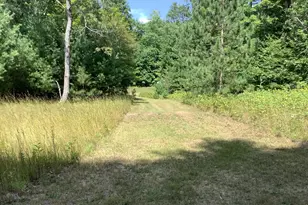 9488 S 11 Rd, Cadillac, MI 49601 - Photo 30