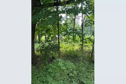 589 48th Street, Grand Junction, MI 49056 - Photo 4