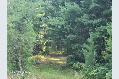 N River Road, Irons, MI 49644 - Photo 2