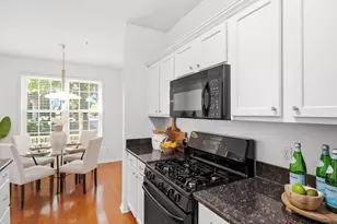 229 Scio Village Ct, Ann Arbor, MI 48103 - Photo 8