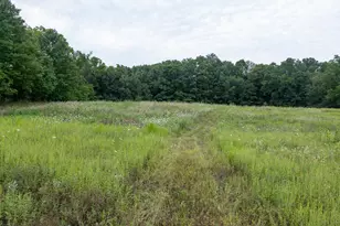 12680 Day Rd, Hudson, MI 49247 - Photo 52