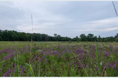 12680 Day Road, Hudson, MI 49247 - Photo 12