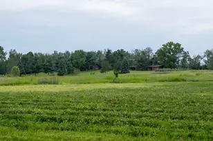 12680 Day Rd, Hudson, MI 49247 - Photo 62
