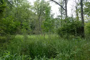 12680 Day Rd, Hudson, MI 49247 - Photo 68