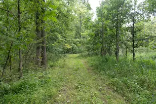 12680 Day Rd, Hudson, MI 49247 - Photo 70