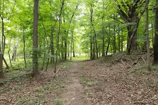 12680 Day Rd, Hudson, MI 49247 - Photo 72