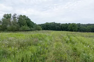 12680 Day Rd, Hudson, MI 49247 - Photo 50
