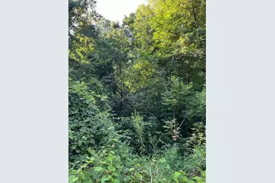 Vl Summit Drive, Delton, MI 49046 - Photo 1