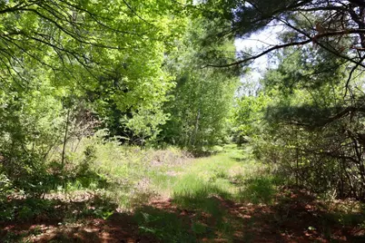 00 E Highwood Road, Beaverton, MI 48612 - Photo 46