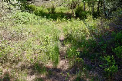 00 E Highwood Road, Beaverton, MI 48612 - Photo 8