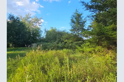 0 V/L Cannes Drive, Brooklyn, MI 49230 - Photo 10