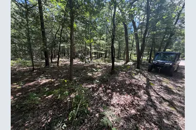 Lot 14/15 S Star Lake Drive #14 & 15, Baldwin, MI 49304 - Photo 4