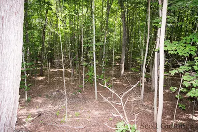3750 N Hillman Road, Lakeview, MI 48850 - Photo 36