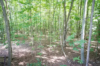 3750 N Hillman Road, Lakeview, MI 48850 - Photo 38