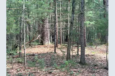 S Skocelas Rd, Manistee, MI 49660 - Photo 62