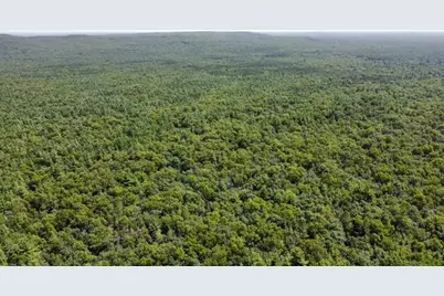 S Skocelas Rd, Manistee, MI 49660 - Photo 2