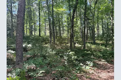 S Skocelas Rd, Manistee, MI 49660 - Photo 46