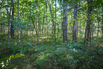 W 10 Mile Road, Irons, MI 49644 - Photo 28