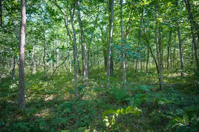 W 10 Mile Road, Irons, MI 49644 - Photo 30