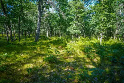 W 10 Mile Road, Irons, MI 49644 - Photo 38
