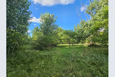 0 V/L Tiffany Street, Brooklyn, MI 49230 - Photo 8