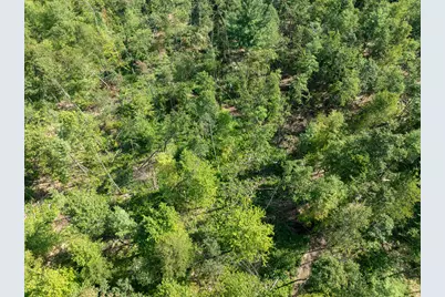 Vl Swenson Road, Holton, MI 49425 - Photo 36